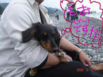 DSC03193.JPG