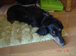 DSC03231.JPG