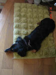 DSC03230.JPG