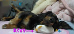 DSC03247.JPG