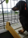 DSC03260.JPG