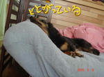 DSC03301.JPG