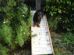 DSC03355.JPG