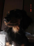 DSC03362.JPG