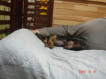 DSC03343.JPG
