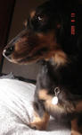 DSC03361.JPG