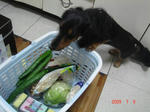 DSC03402.JPG