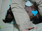DSC03392.JPG