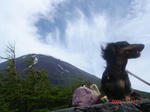 DSC03458.JPG