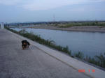 DSC03478.JPG
