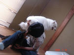 DSC03503.JPG
