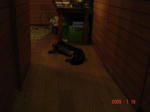DSC03516.JPG