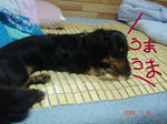DSC03521.JPG