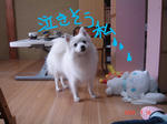 DSC03494.JPG