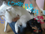 DSC03508.JPG