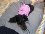 DSC03531.JPG
