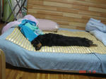 DSC03524.JPG