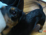 DSC03569.JPG