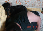DSC03575.JPG