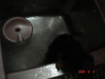 DSC03601.JPG