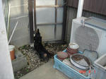 DSC03612.JPG