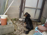 DSC03614.JPG