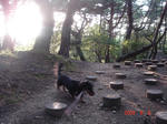 DSC03618.JPG