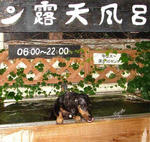 DSC00601.JPG