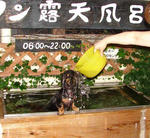 DSC00602.JPG
