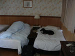 DSC00611.JPG