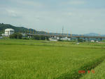 DSC03649.JPG