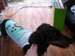 DSC03633.JPG