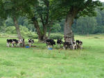 DSC00635.JPG