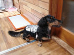 DSC00645.JPG