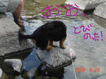 DSC03686.JPG