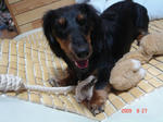 DSC03726.JPG