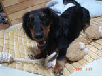 DSC03728.JPG