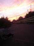 DSC03792.JPG