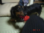 DSC03844.JPG