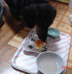 DSC03872.JPG