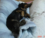 DSC03960.JPG