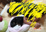 DSC03751.JPG