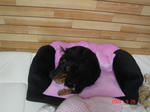 DSC03975.JPG