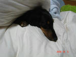 DSC04009.JPG