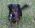 DSC04020.JPG