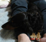 DSC04108.JPG