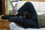 DSC04116.JPG
