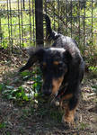 DSC04159.JPG