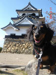 DSC04201.JPG