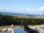 DSC04204.JPG